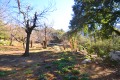 Vente  terrain chisa - Immobilier 